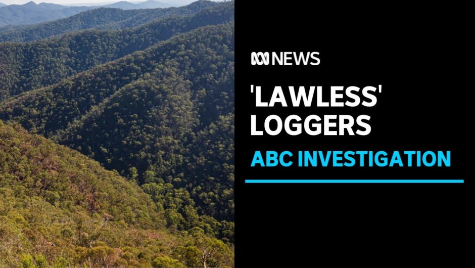 New data suggests illegal logging by Vic Government's logging agency | ABC News