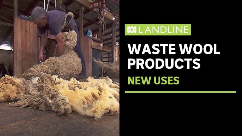 Finding new ways to use low value wool | Landline | ABC News