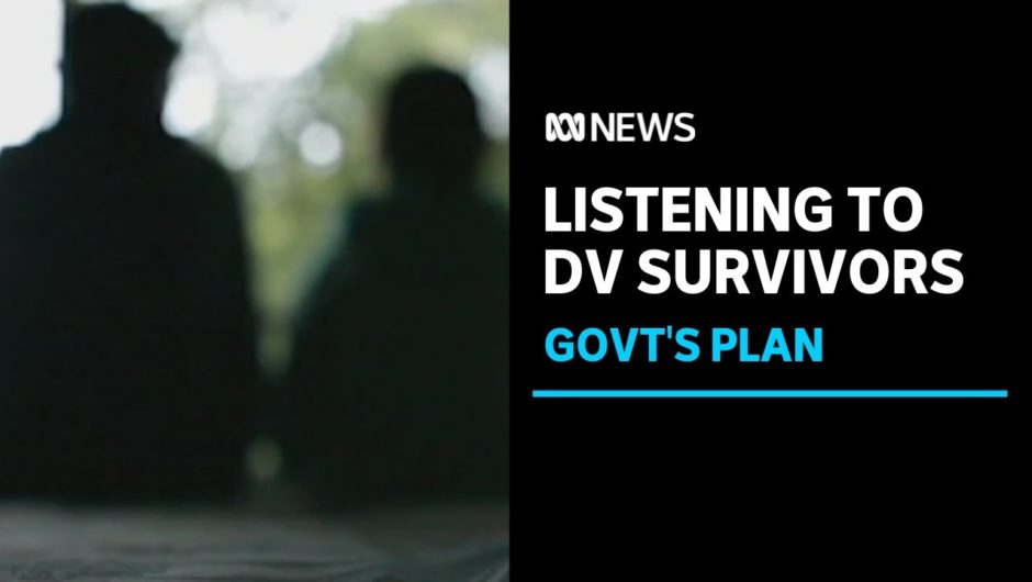 Survivor responds to government's domestic violence plan | ABC News