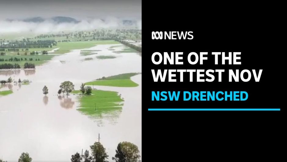 Homes have been damaged in NSW's north, Upper Hunter as state copped another drenching | ABC News