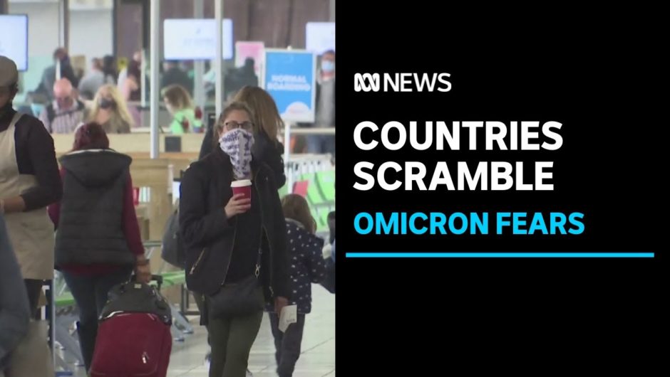 Travel bans come into force as countries monitor Omicron outbreak | ABC News