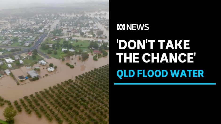 QLD SES urges people to not drive through floodwaters and to ‘back it up’ | ABC News