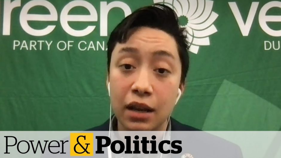 'We've actually successfully turned a corner,' says Green Party interim leader