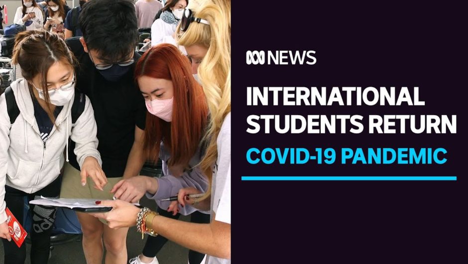 First international students return to NSW after two years of COVID limbo | ABC News