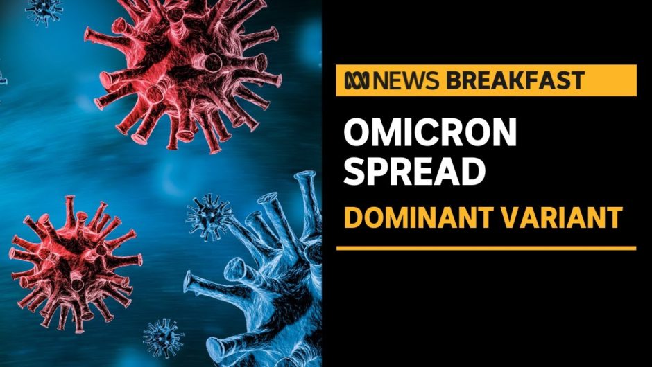 Experts say Omicron COVID strain is likely to dominate Delta | ABC News