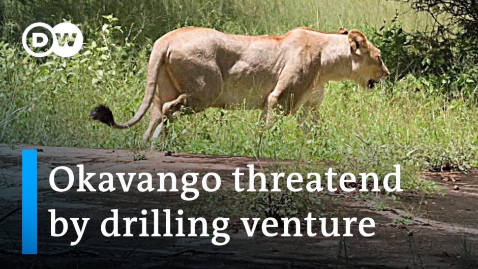 Namibia: Drilling for oil in paradise | Global Ideas