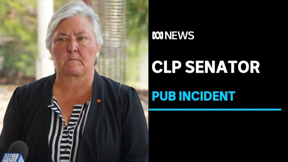 Politics in the pub gets heated over an alleged incident involving NT Senator Sam McMahon | ABC News