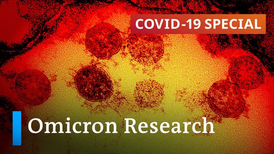 Origin, transmissibility, severity: What we know about the Omicron variant so far? | COVID19 Special