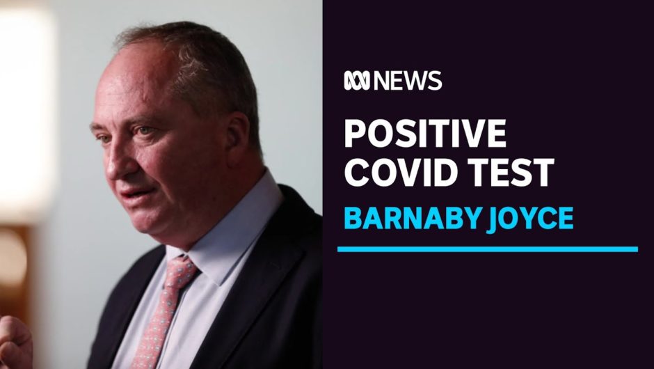 Deputy Prime Minister Barnaby Joyce tests positive for COVID-19 in US | ABC News