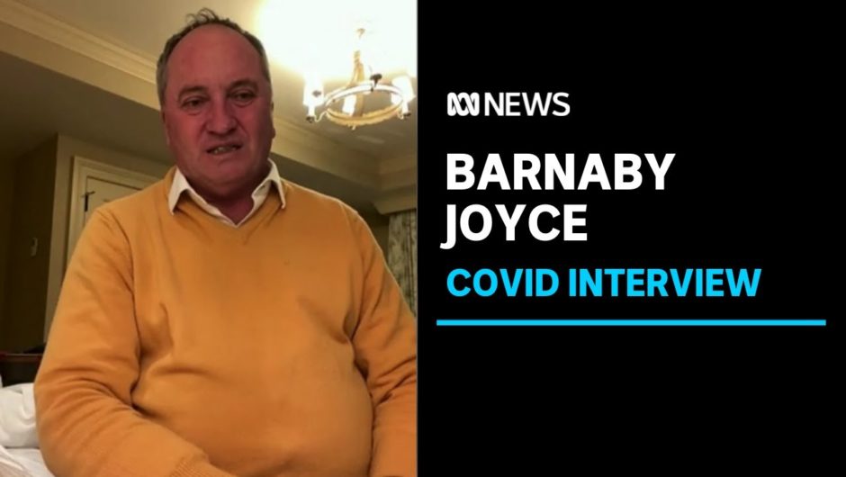 Barnaby Joyce talks about positive COVID test in the US | ABC News