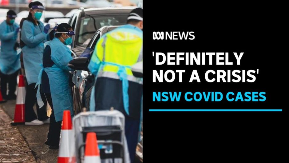 Infectious diseases expert says rising COVID-19 cases in NSW is not ‘surprising’ | ABC News