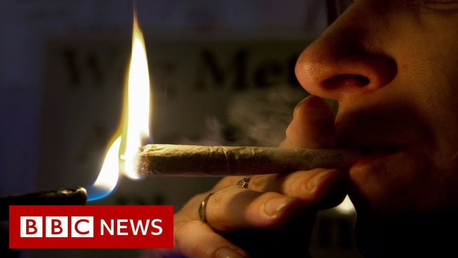 Malta becomes first EU nation to legalise cannabis – BBC News