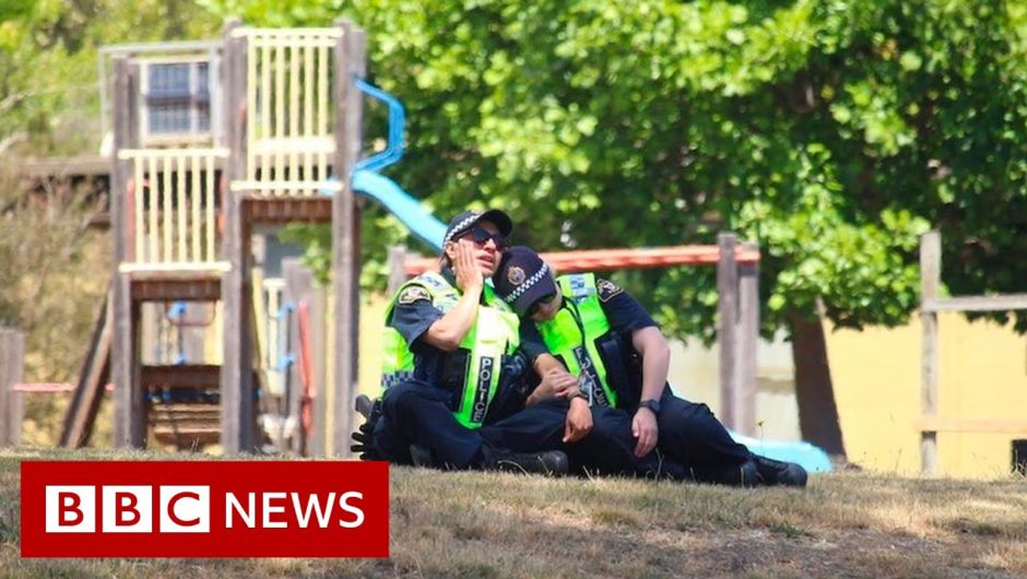 Five children killed in Australian bouncy castle accident – BBC News