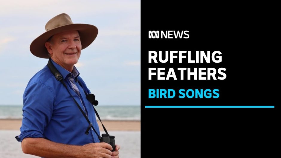 Album featuring birdsongs of endangered species reaches the Top Five ARIA album charts | ABC News