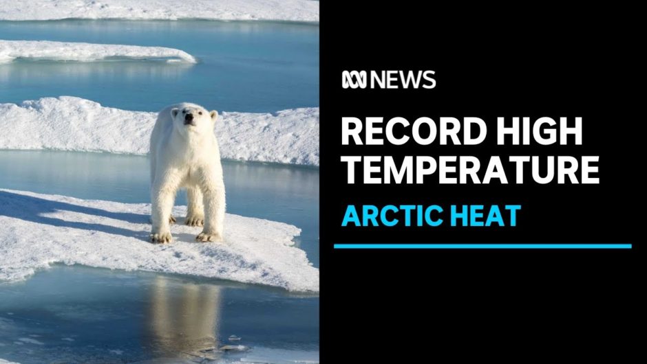 Record high Arctic temperature of 38 degrees Celsius officially recognised | ABC News