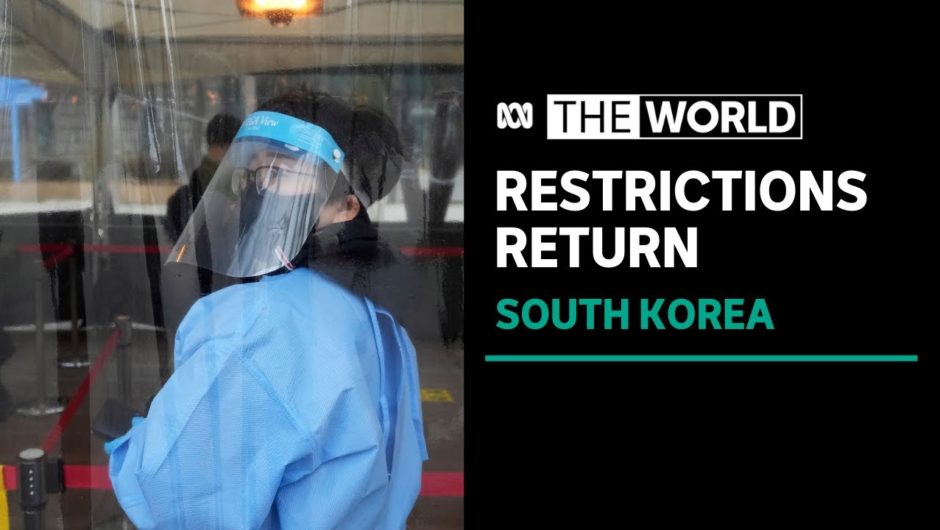 South Korea reimposes COVID-19 restrictions as new cases climb | The World