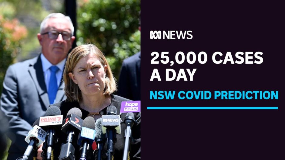 NSW braces for 25,000 COVID cases per day by January, modelling suggests | ABC News