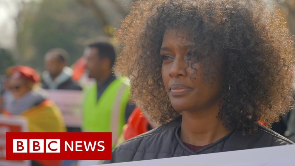 Ethiopian civil war divides diaspora in the US – BBC News