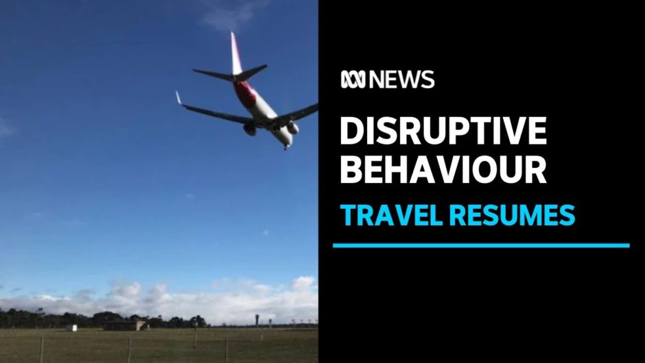 Airline industry seeing spike in disruptive behaviour | ABC News