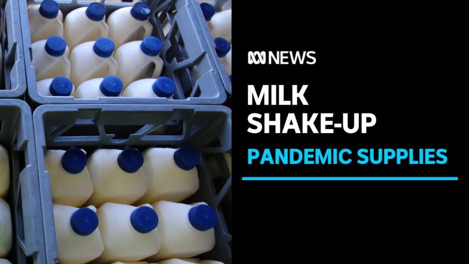 How the milk industry changed its business model to flourish during the pandemic | ABC News