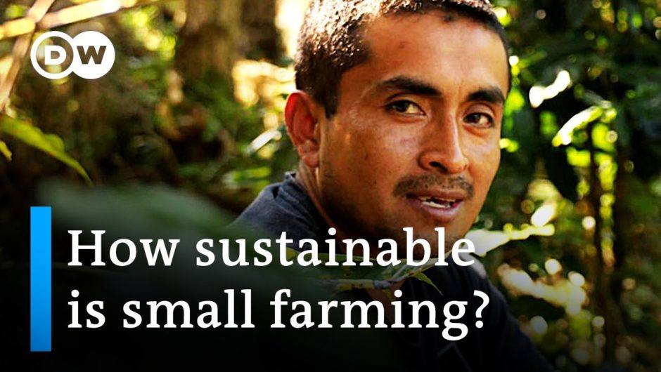 Fair chances for small farming in Mexico | Global Ideas