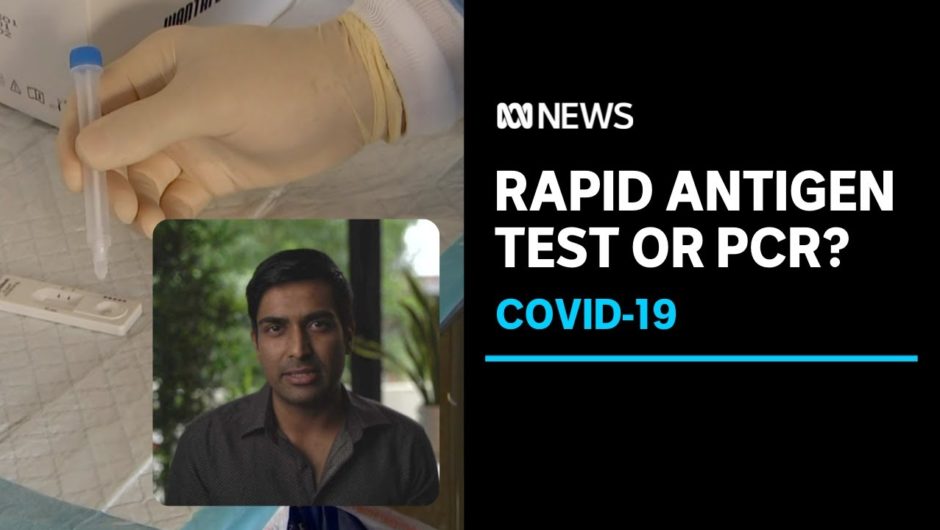 When is it OK to take a rapid antigen test rather than a PCR swab? | ABC News