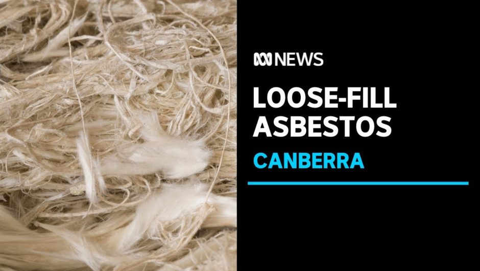 ACT government urged to audit thousands of homes for loose-fill asbestos | ABC News