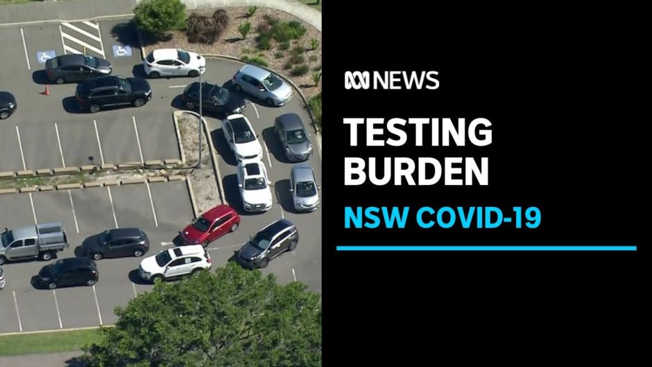 Border testing requirements placing burden on NSW health system | ABC News
