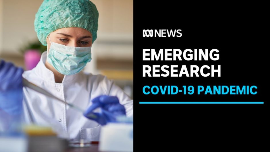 Early COVID-19 studies suggest Omicron hospital risk less than Delta variant  | ABC News