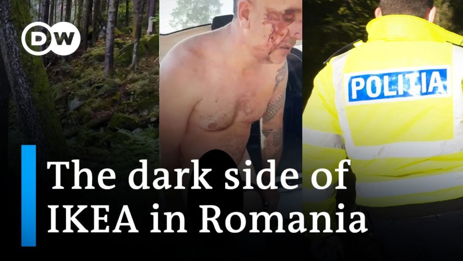 Wood Mafia country: The dark side of IKEA in Romania | DW News